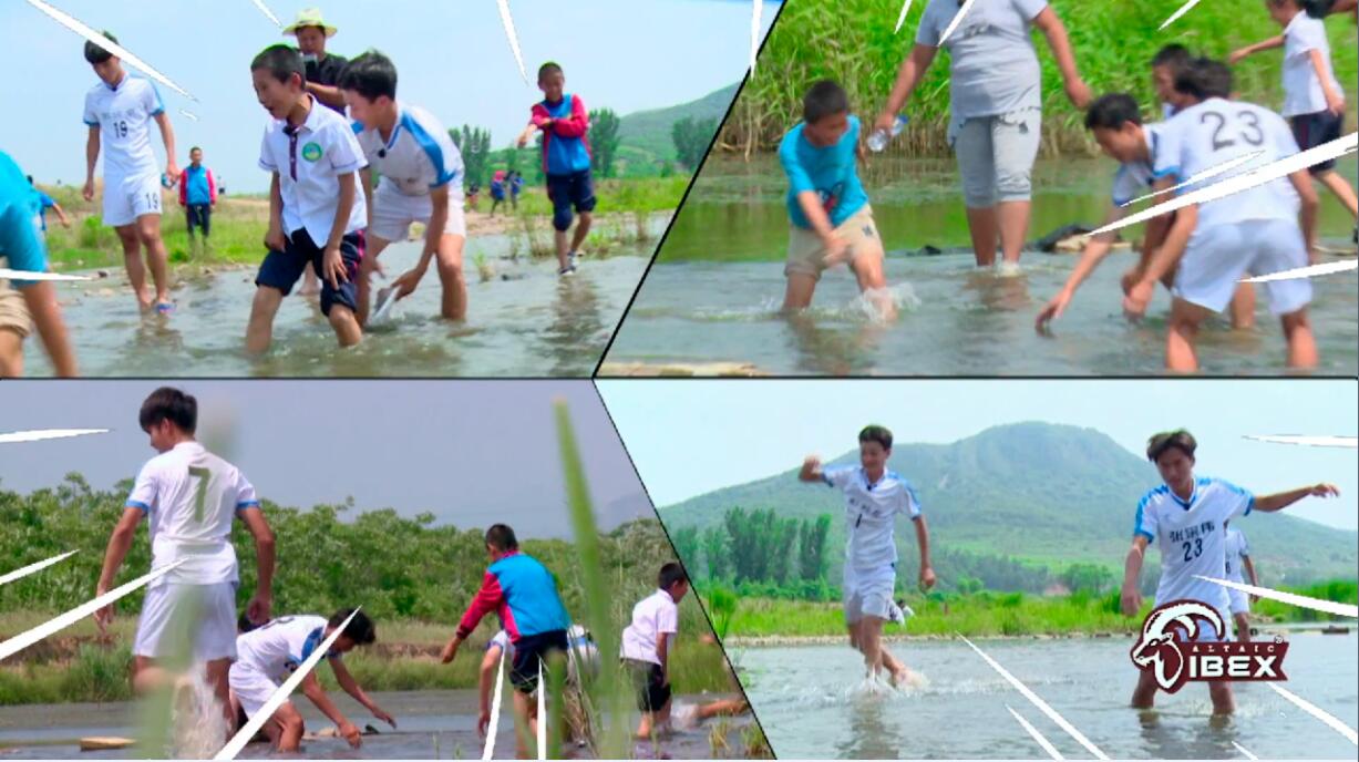 姝讳骸鐖鍔卞織瑙嗛鎰熻█,姝讳骸鐖鎰熷姩鐗囨