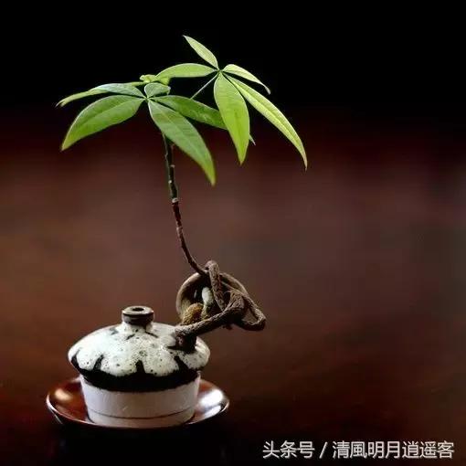 经典中的经典,源自古诗词里的36个成语