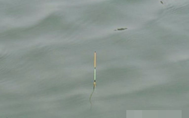 怎样调漂才是正确调漂方法,加粗漂半水调漂的正确方法