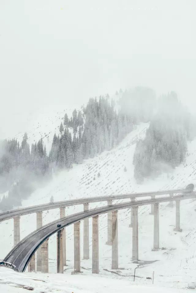 回顾:旧梦之域,新辟之疆‖这是一个让我魂萦梦绕的地方