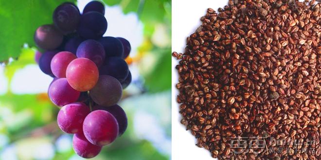 姑娘们都要清醒，男人们喜欢的是你不化妆也似芙蓉的样子！