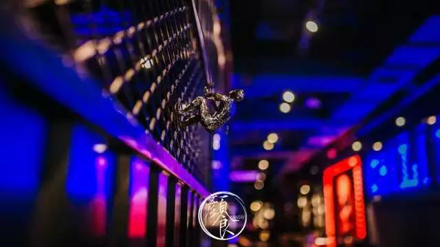 letsgoparty涓诲満,letsgoparty鍔ㄧ敾