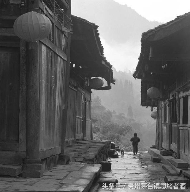 憨老头故事,憨老头酒馆全部视频