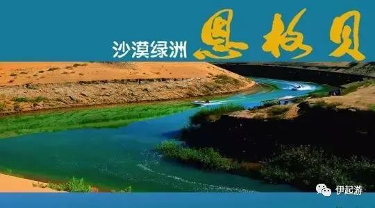 沙漠徒步穿越恩格贝,恩格贝沙漠千人徒步