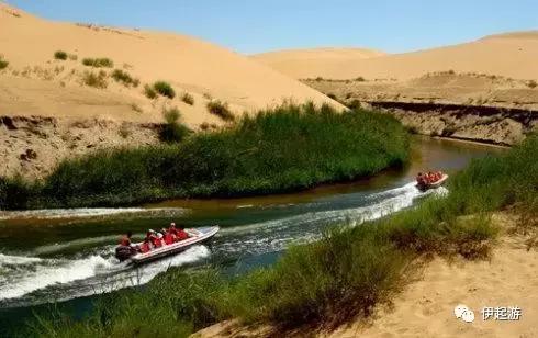 沙漠徒步穿越恩格贝,恩格贝沙漠千人徒步