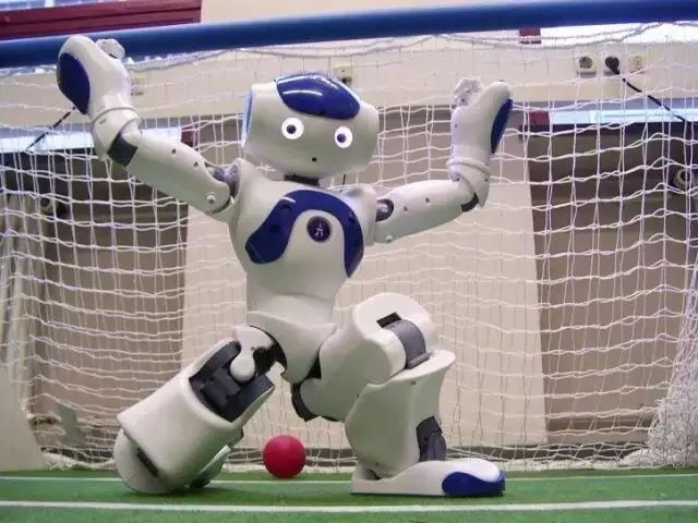 6米8的大黄蜂,800多块的大黄蜂机器人