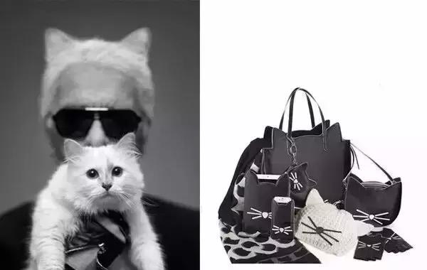 这些宠物都在背LV，你还敢抱怨自己像狗一样累？