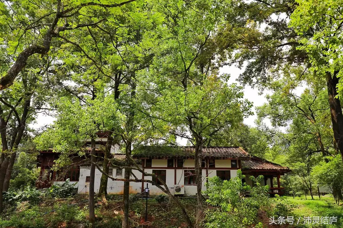 如果你只有一天的时间去乐山,如果你只有两天时间游南京