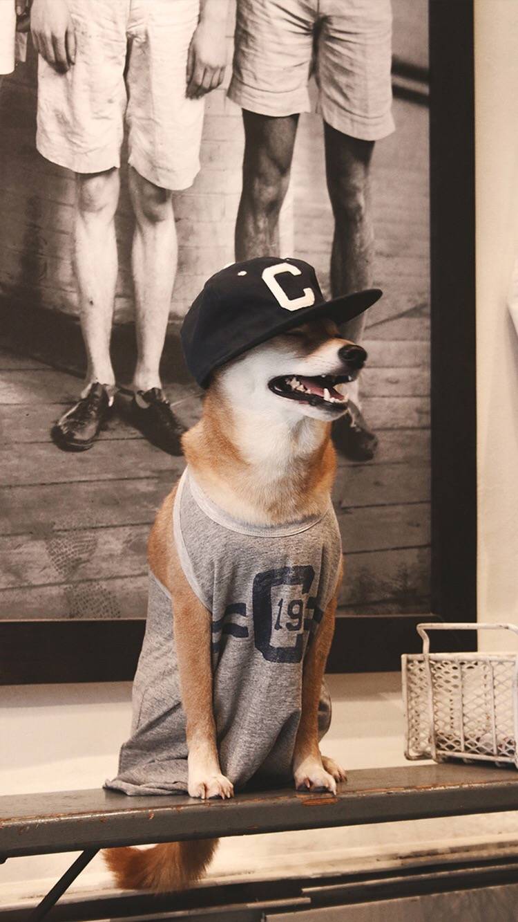 超多高清好看的壁纸,归来的奥特曼壁纸