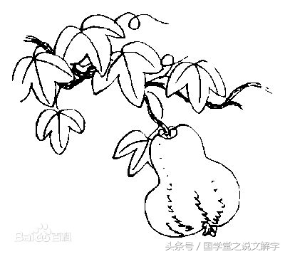 冬瓜南瓜西瓜苦瓜哪个不是一类的,冬瓜南瓜西瓜还有个北瓜哪去了