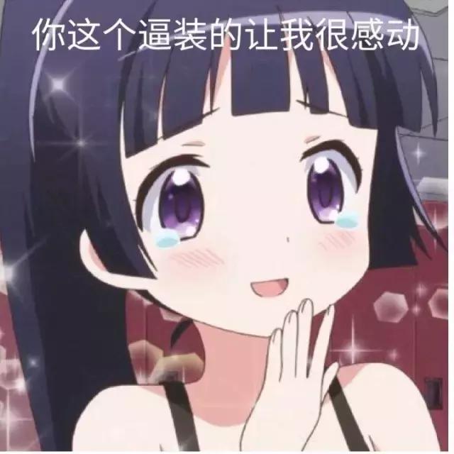 这位爱宠狂魔却是阻碍我和荷兰猪友谊道路上的始作俑者