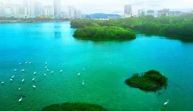 三亚市三亚河治理,砥砺奋进的五年成就有哪些