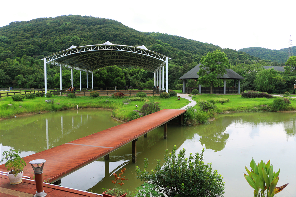品山水美景房子,品农家菜
