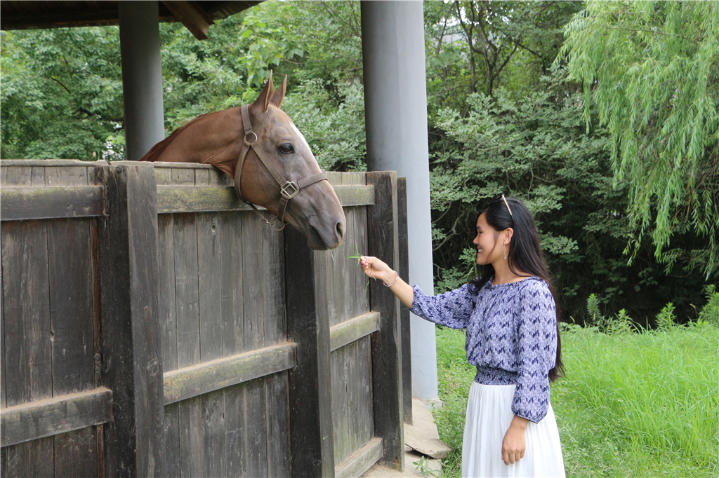 品山水美景房子,品农家菜