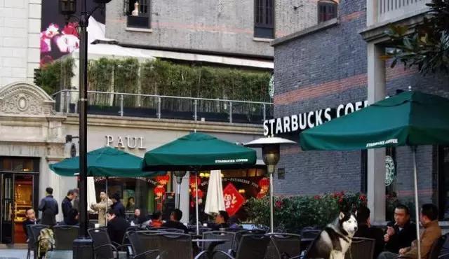 上海坐地铁直达的玩的地方,上海地铁直达花海