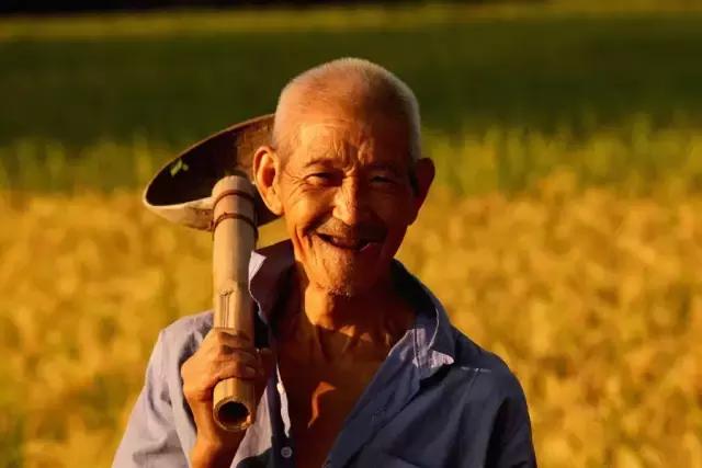 描写人物神态好词好句初中,描写人物语言神态动作外貌的好句