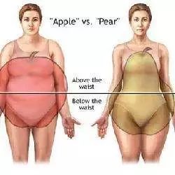 胖不胖,自己说了不算,用最简单的数据说话