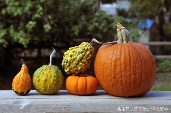 冬瓜南瓜西瓜苦瓜哪个不是一类的,冬瓜南瓜西瓜还有个北瓜哪去了