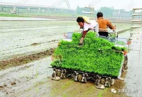 各种农机大盘点(2),你认识几种?