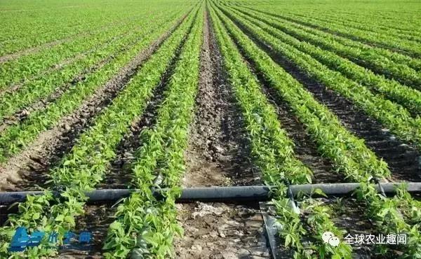 各种农机大盘点(2),你认识几种?