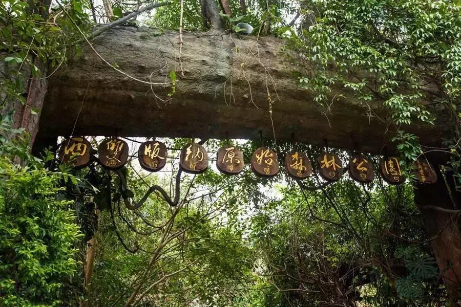 国庆节成都五日游攻略,元旦成都出发两天一夜旅游攻略