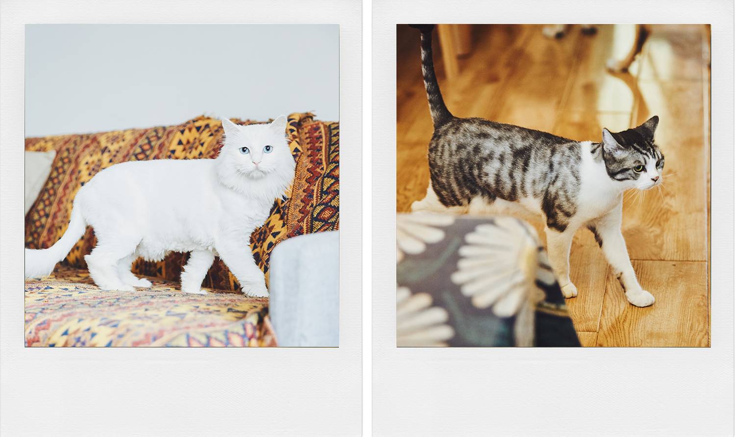 “列车运行前方:龙车站”我和TA打开了意外之门