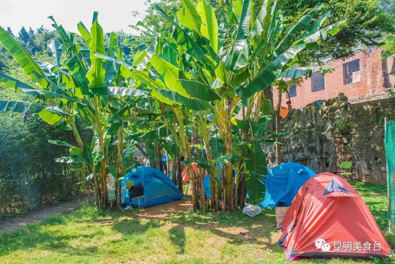 云南最神秘的六个野温泉，峡谷弥漫雾气小鱼咬脚，车底盘常常被刮