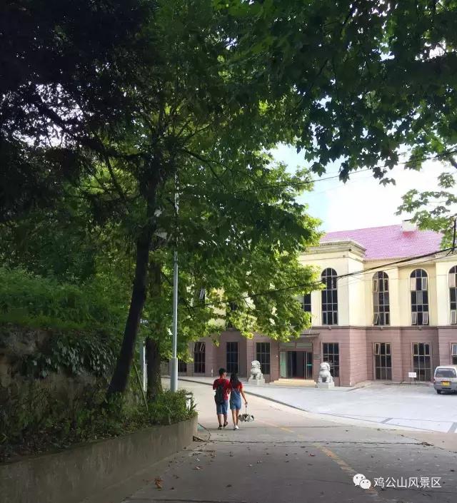 鸡公山探险之旅,鸡公山自然保护区景点