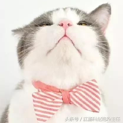 无痛肠镜检查的亲身经历,无痛肠镜真的一点都感觉不到吗