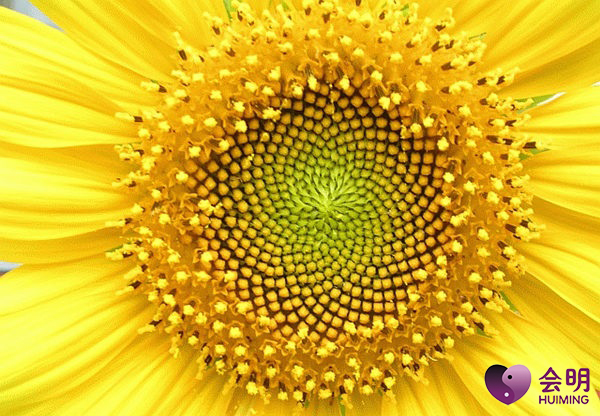 密集恐惧症个人该如何克服