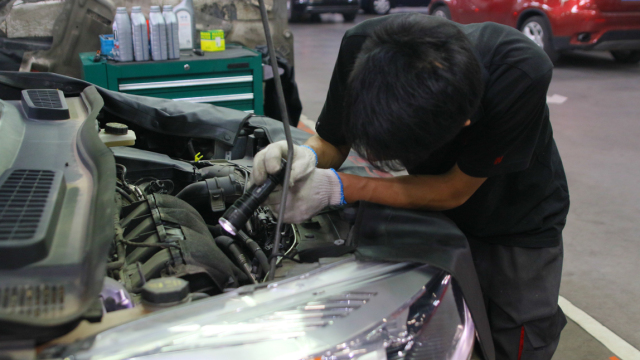 翼虎的10大忠告,翼虎详细介绍