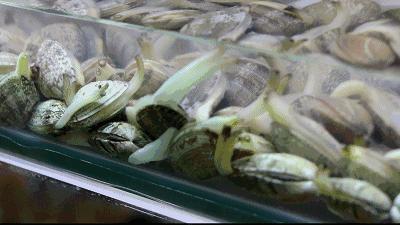 只有来360商圈吃过这些小吃，我才能安心减肥