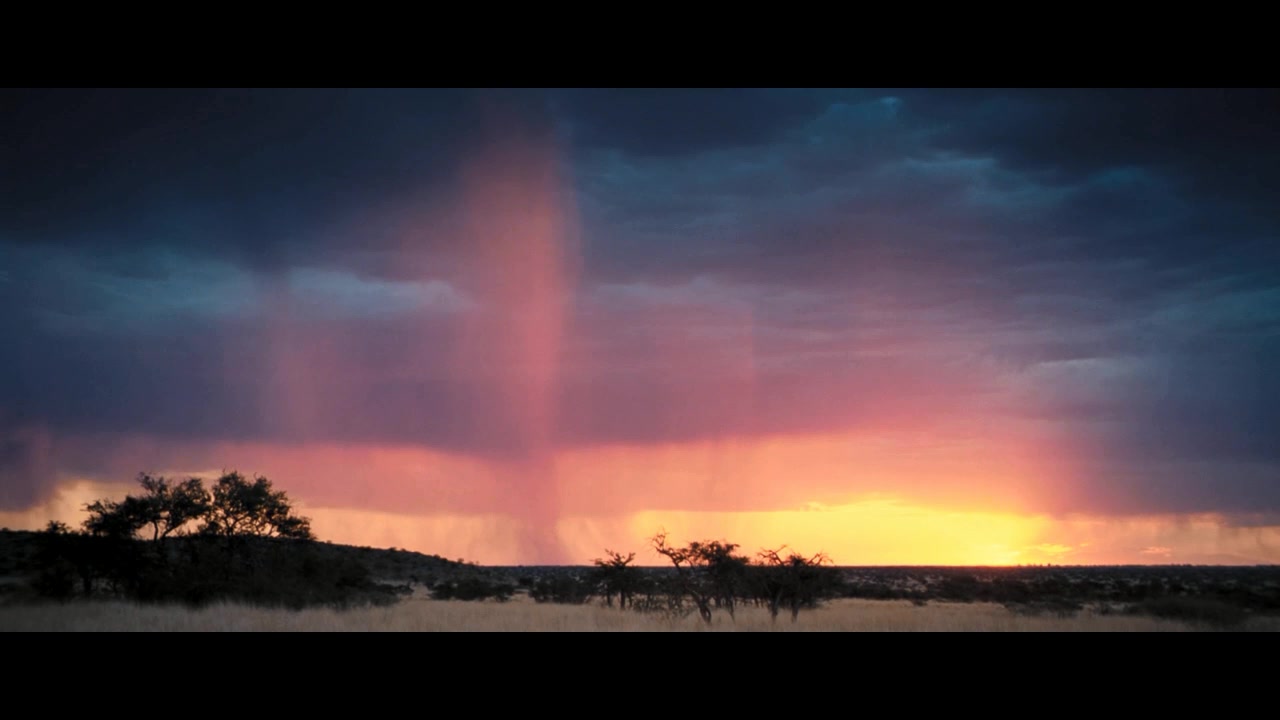 王朝狐獴纪录片,非洲纪录片狐獴