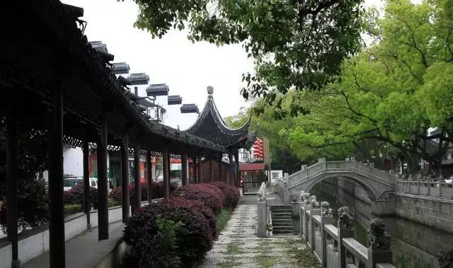 上海坐地铁直达的玩的地方,上海地铁直达花海