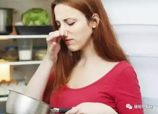 洋葱价格暴涨原因,洋葱价格不断飙升