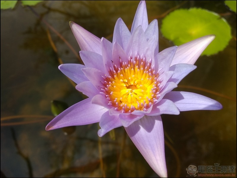 小米A1开箱评测:首款搭载AndroidOne系统的小米手机