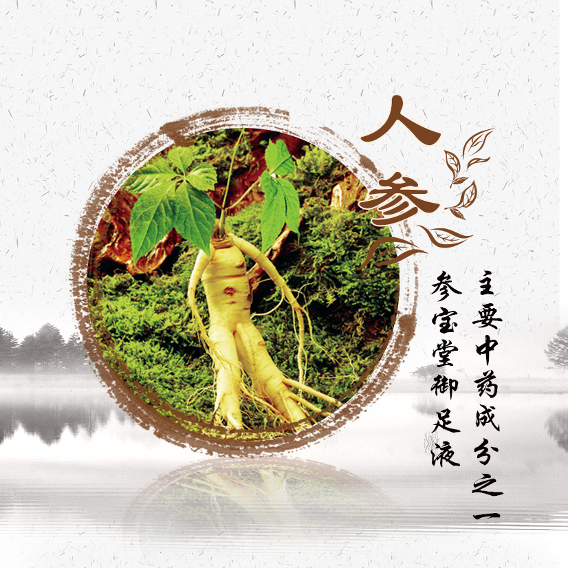 参宝堂御足抗菌液,参宝堂御足液功效成分