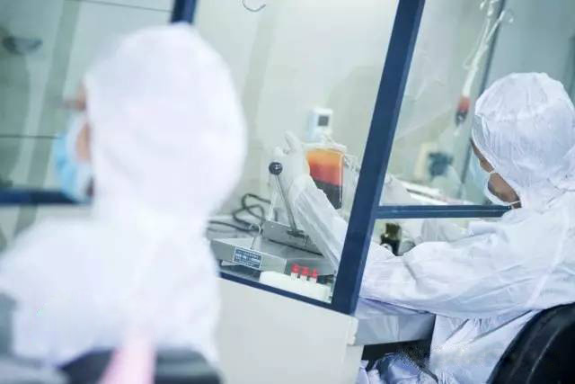 脐带血是什么为什么要保存脐带血,科普脐带血的作用是什么