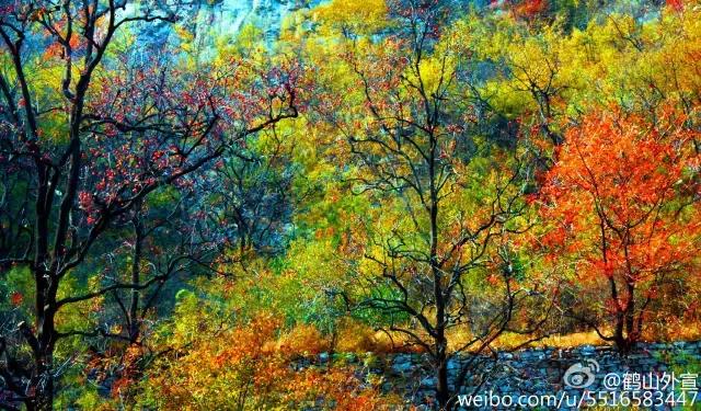 太太受委屈,太太委屈