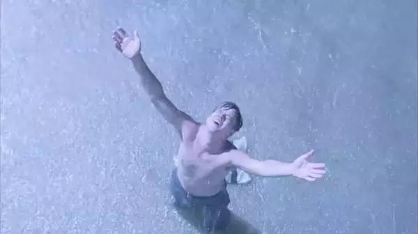 肖申克的救赎经典语录关于鸟,肖申克的救赎布鲁斯的鸟