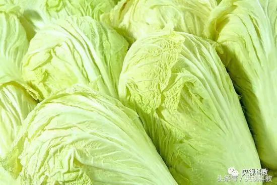 健康之路治便秘费力,秋天便秘吃什么最有效