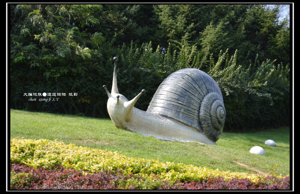 娴锋花鍩庡競澶ц繛娴极涔嬮兘,澶ц繛娴极婊ㄦ捣缇庢櫙