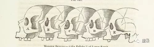 醒酒的绝招视频,醒酒最快的方法幽默