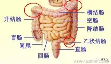 无痛肠镜检查的亲身经历,无痛肠镜真的一点都感觉不到吗