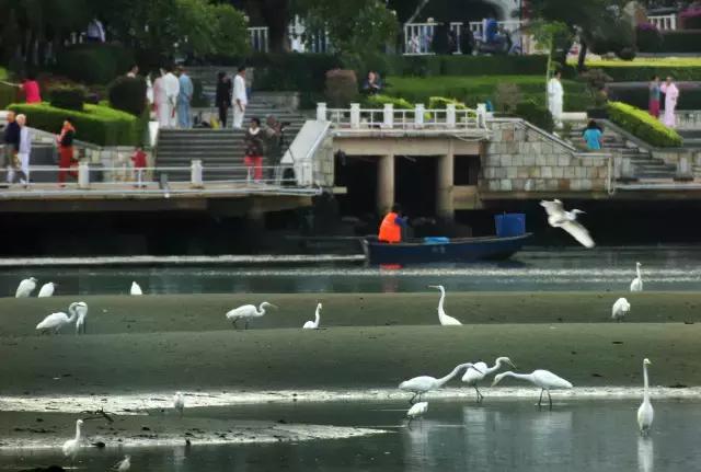 三亚市三亚河治理,砥砺奋进的五年成就有哪些