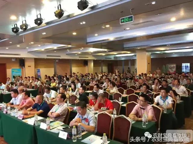 环保风暴对中国经济有影响吗,猪价继续低迷养殖猪企还能撑多久