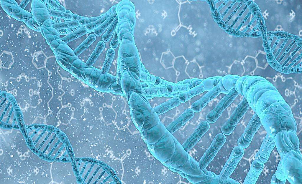 丈夫有地中海贫血对生小孩的影响,夫妻有一人携带地中海贫血基因