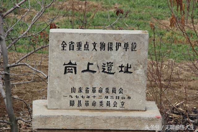 阜阳临泉县人口大县,临泉县是中国人口第一大县吗