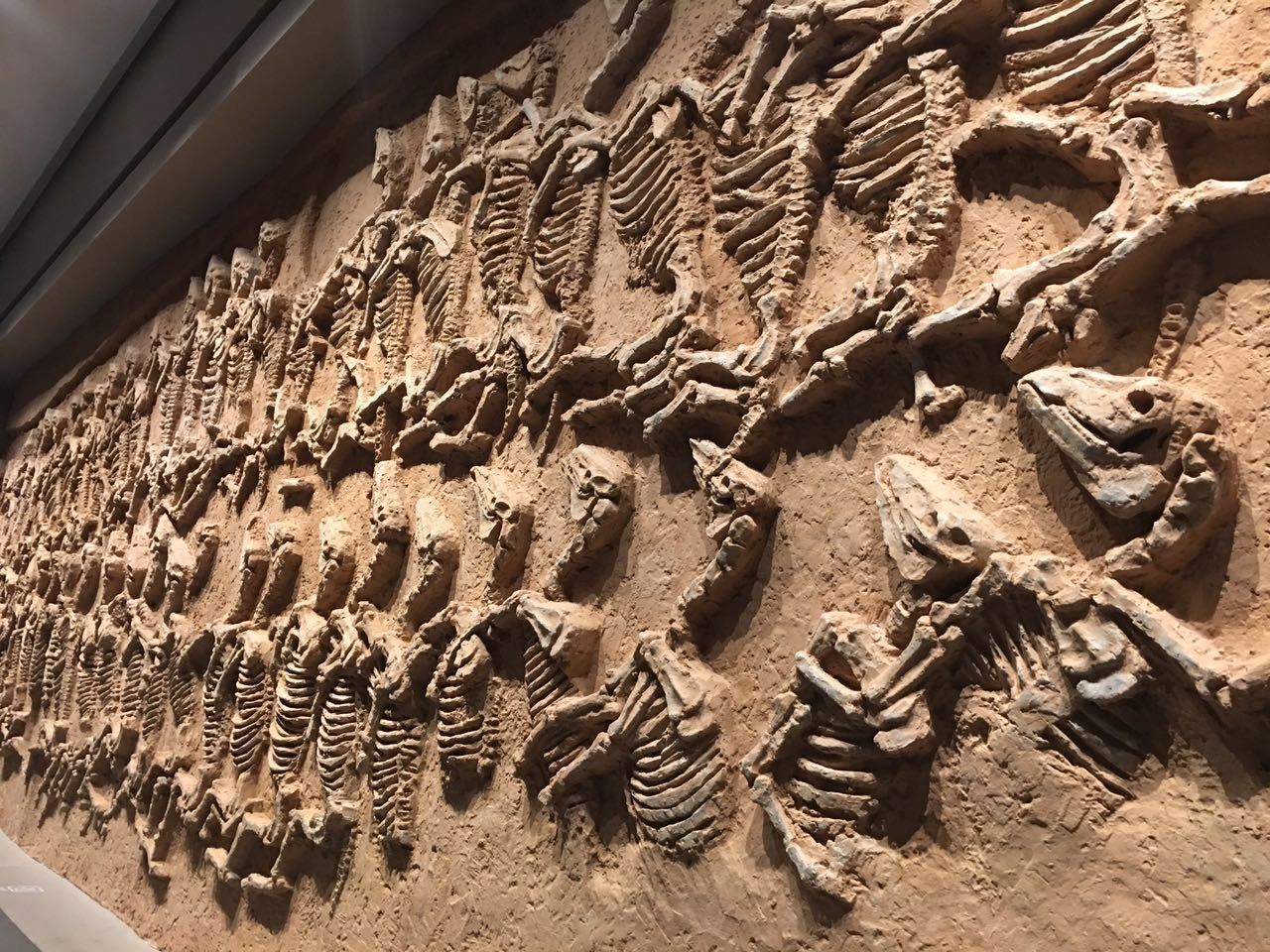 想寻找淄博的千年文化，首先来这些博物馆一探究竟