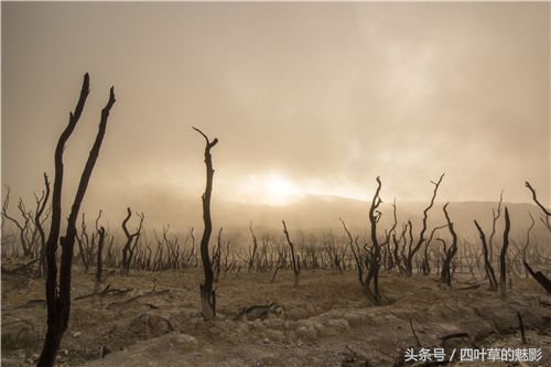 故事：湖泊中的血咒，掉进胡中必死无疑